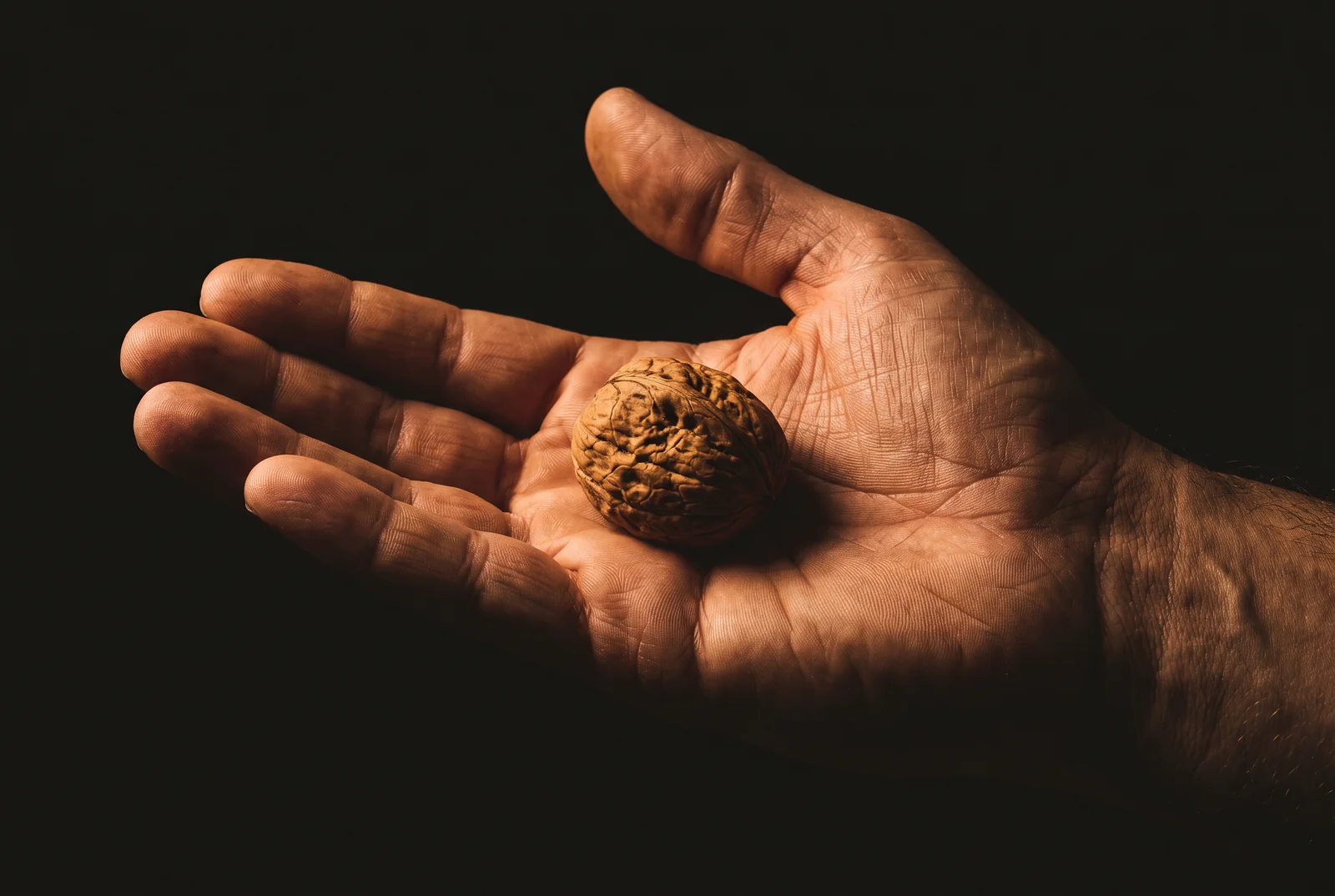 Een open hand met een walnoot in de palm, tegen een donkere achtergrond.